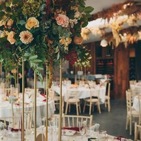 fwthumbHollyhocksflorist-Brand-28102023-210.jpg