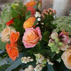 fwthumbDSC_0654.jpg
